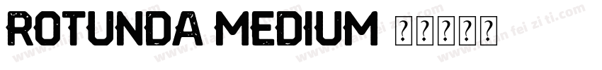 Rotunda Medium字体转换